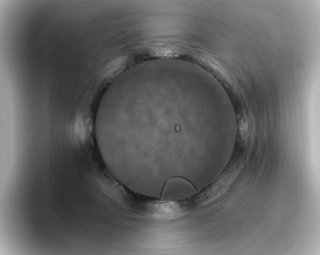 X0000096970322200802221408