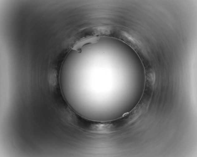 X0000096970323200802221408