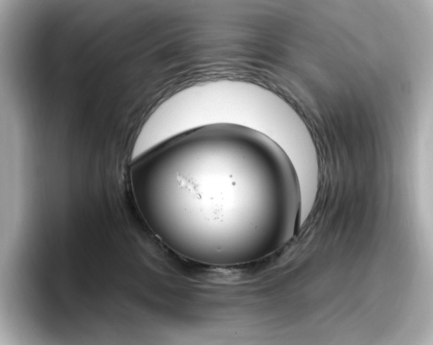 X0000096970328200802221408