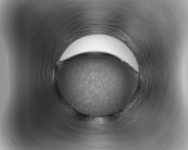 X0000096970330200802221408