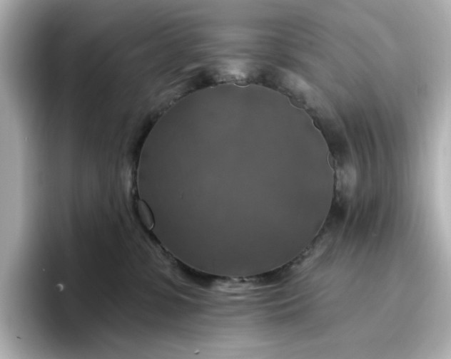 X0000096970331200802221408