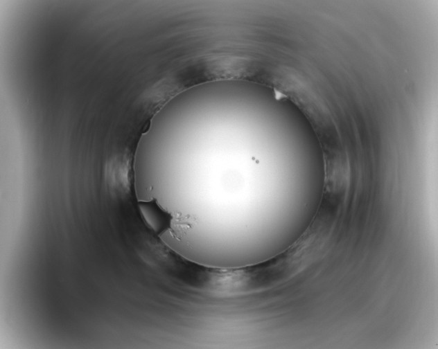 X0000096970334200802221408