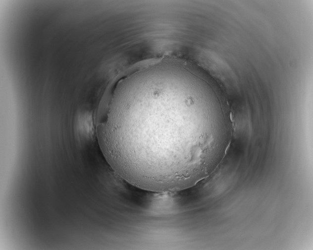 X0000096970335200802221408