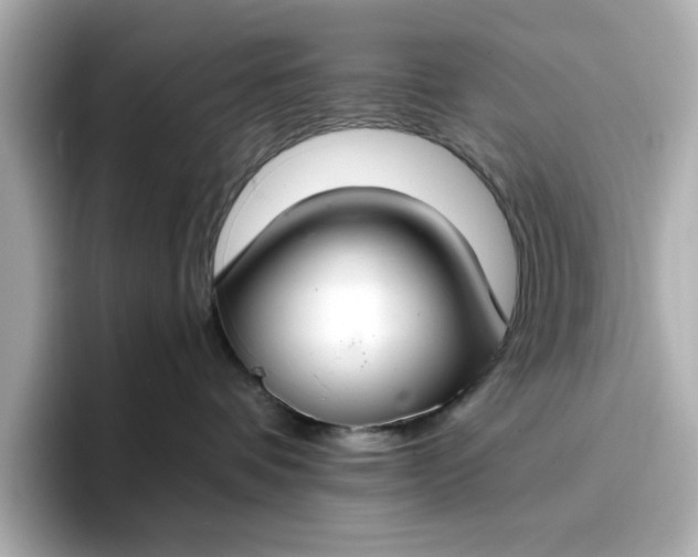 X0000096970336200802221408