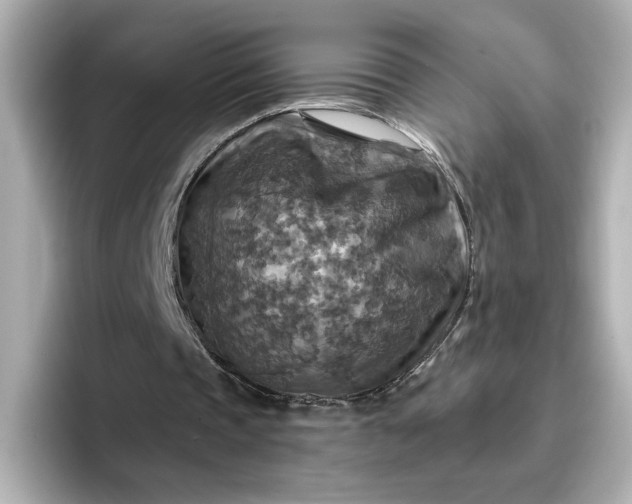 X0000096970337200802221408