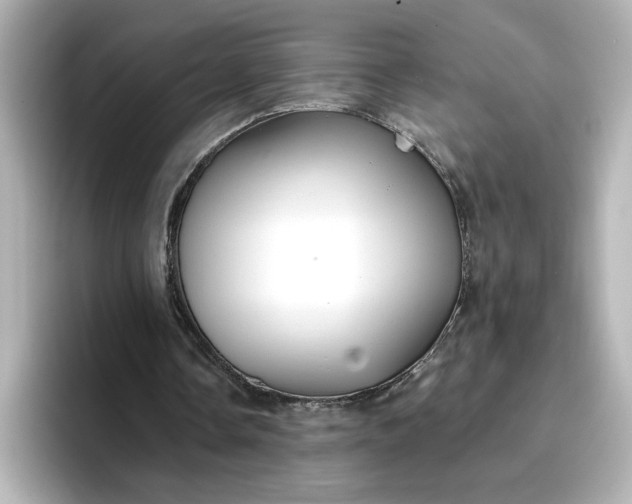 X0000096970338200802221408