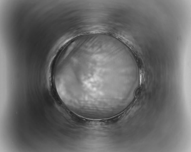 X0000096970339200802221408