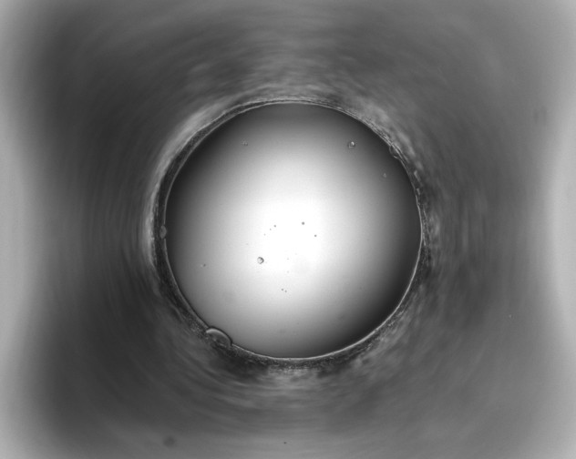 X0000096970340200802221408