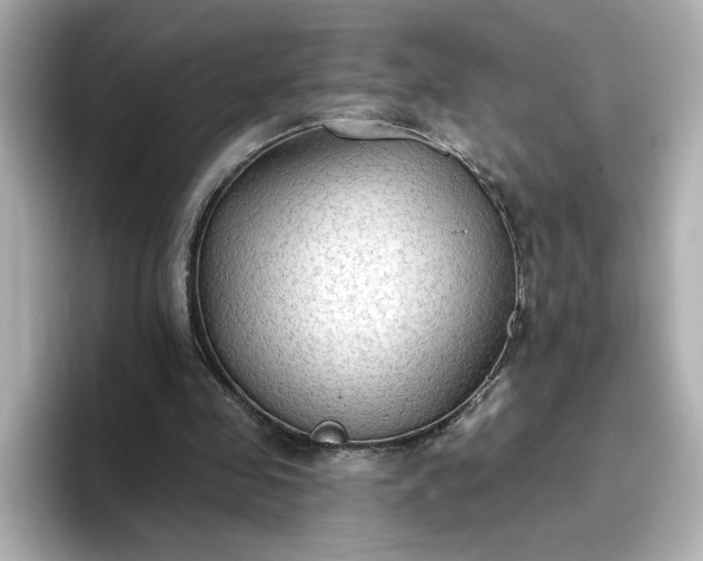 X0000096970341200802221408