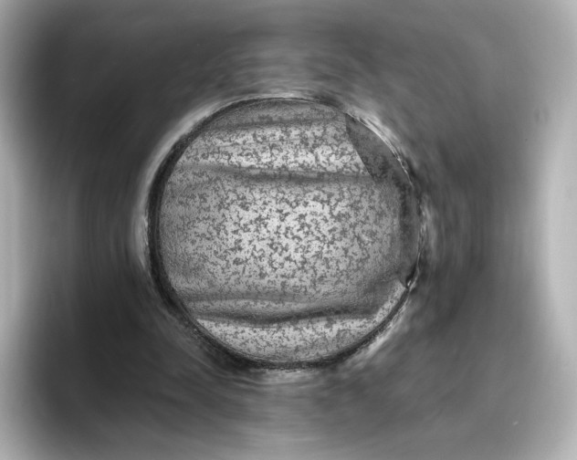 X0000096970342200802221408