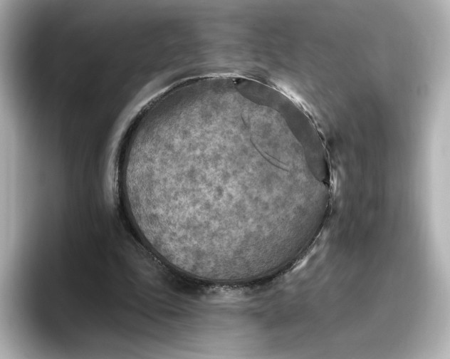 X0000096970343200802221408