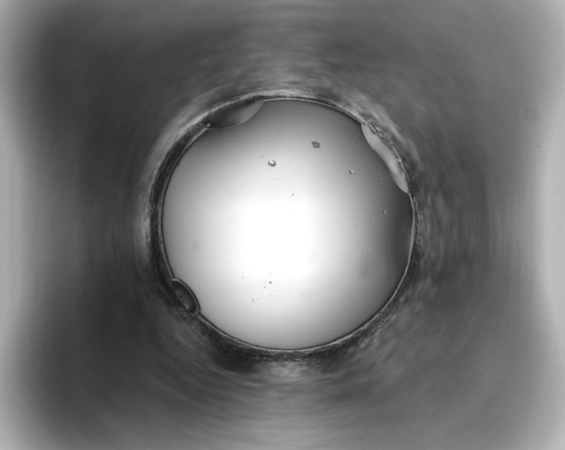 X0000096970344200802221408