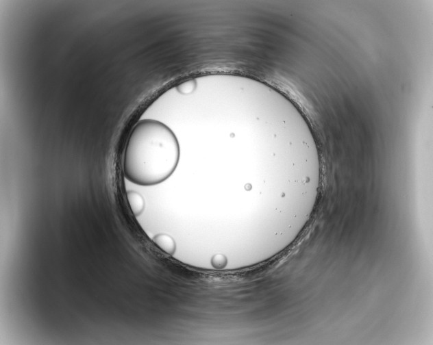 X0000096970346200802221408