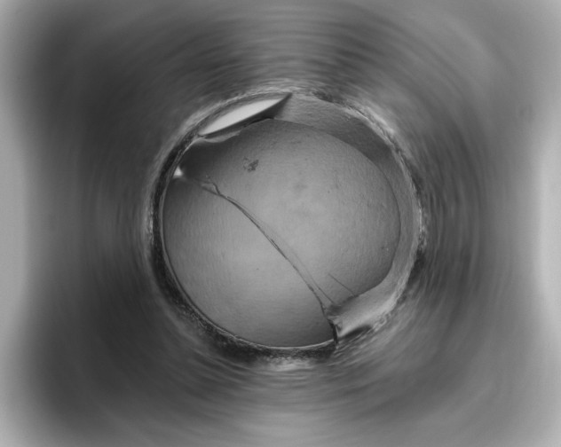 X0000096970348200802221408