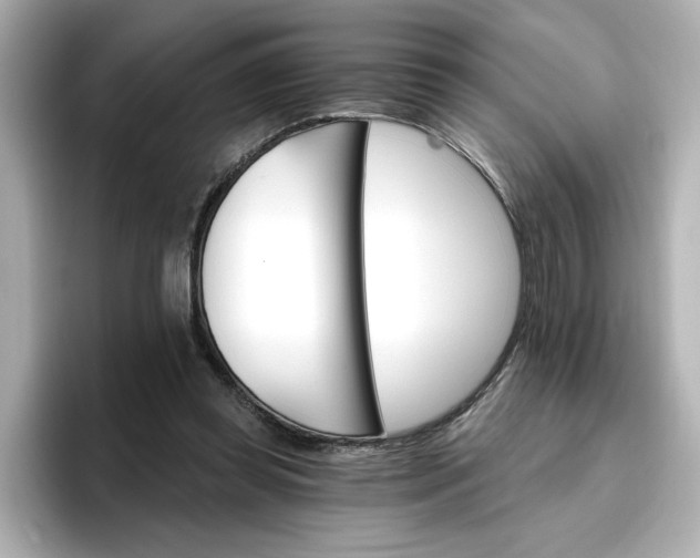 X0000096970349200802221408