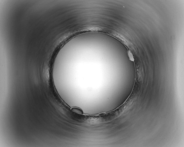 X0000096970350200802221408