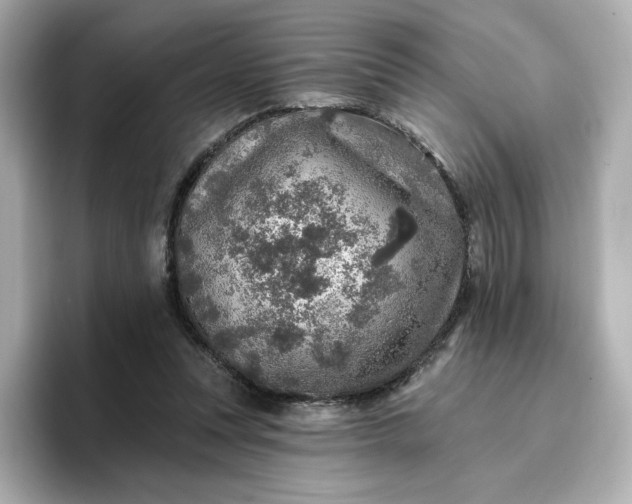 X0000096970351200802221408