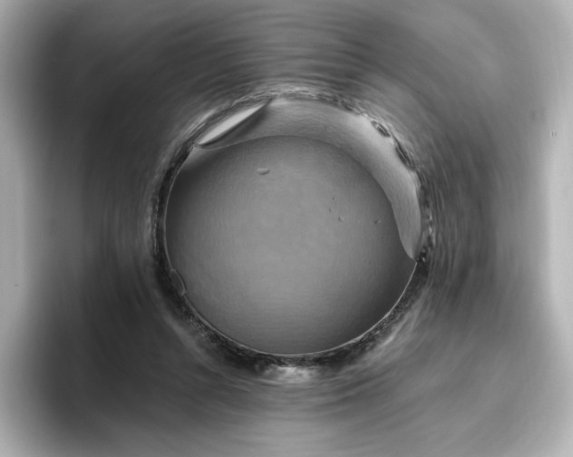 X0000096970352200802221408