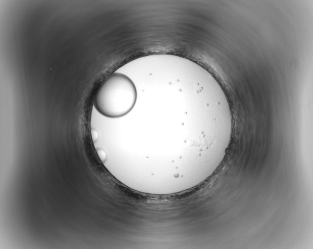 X0000096970354200802221408