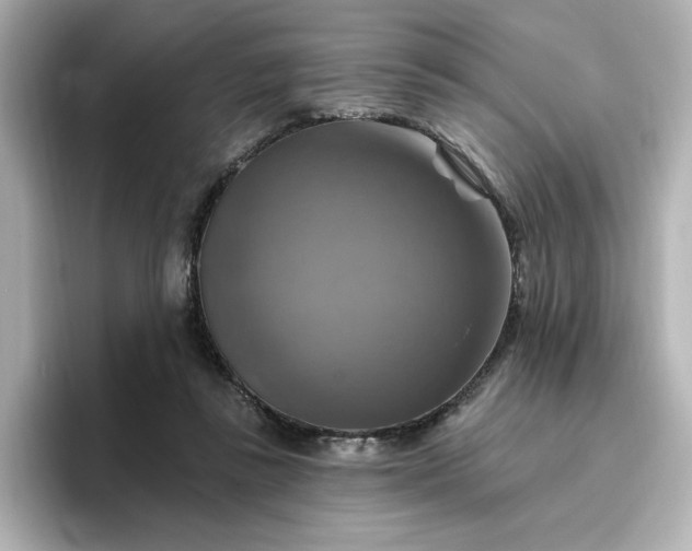 X0000096970355200802221408