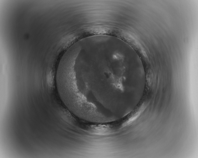 X0000096970359200802221408