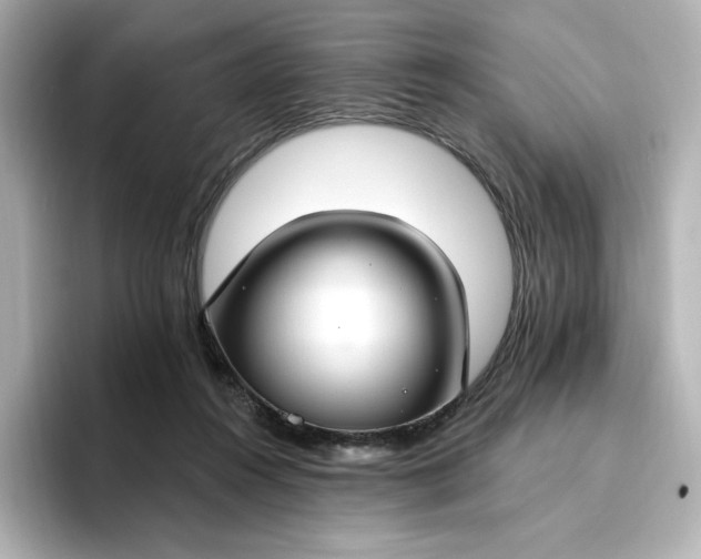 X0000096970360200802221408