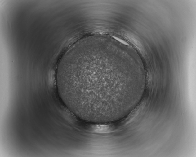 X0000096970361200802221408