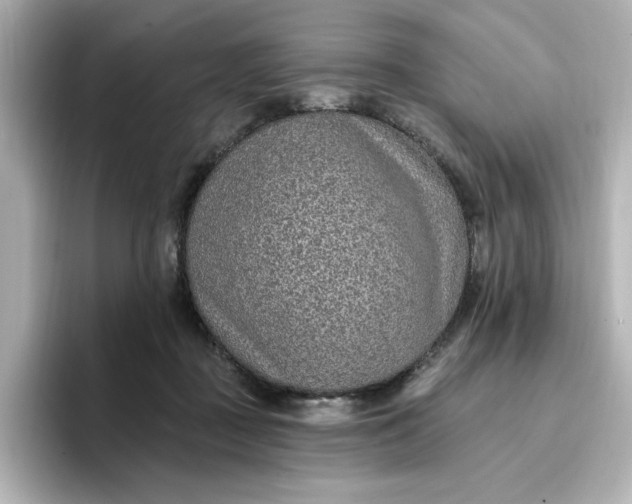 X0000096970363200802221408