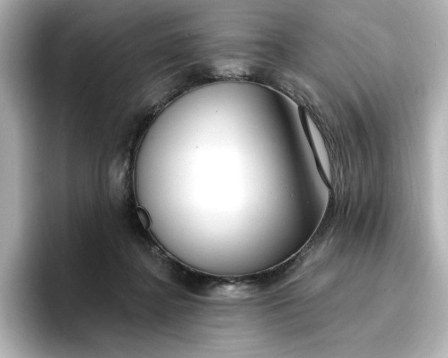 X0000096970364200802221408