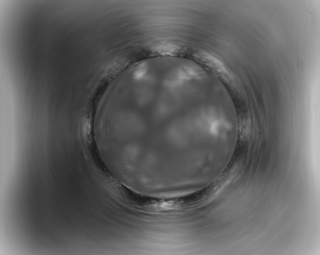 X0000096970365200802221408