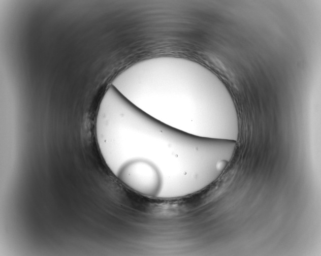 X0000096970366200802221408