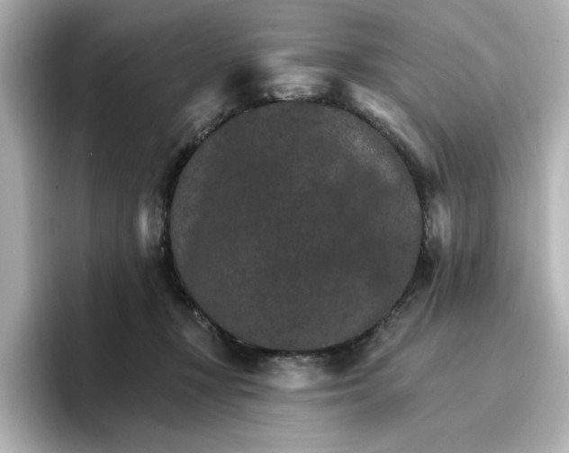 X0000096970367200802221408