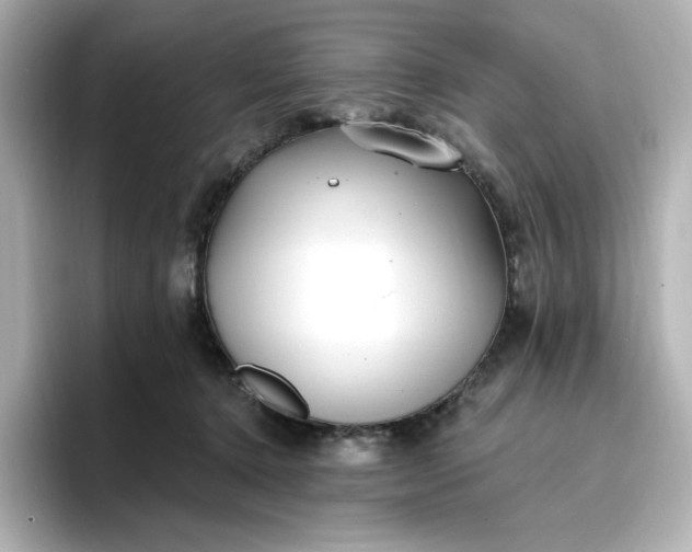 X0000096970368200802221408