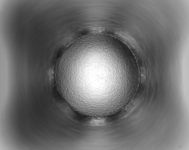 X0000096970369200802221408