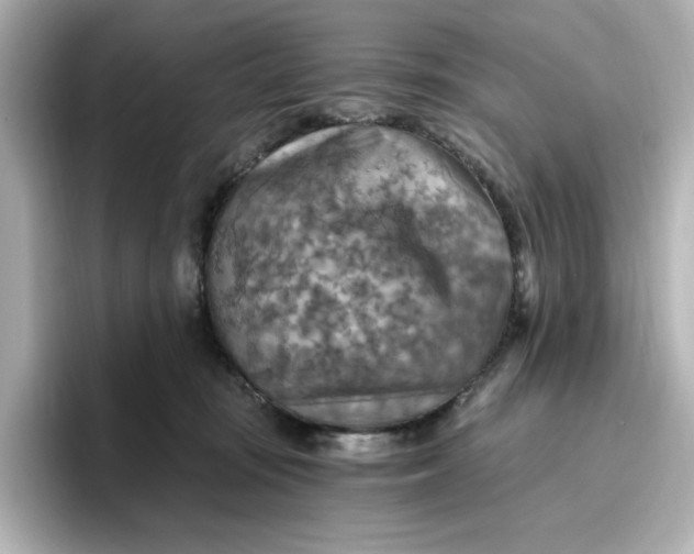 X0000096970371200802221408