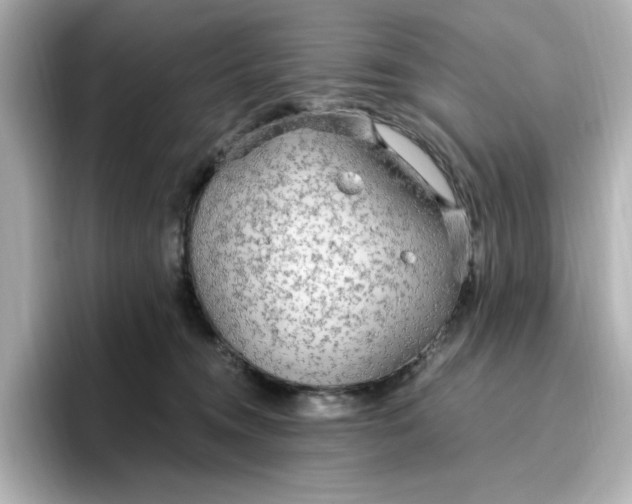 X0000096970372200802221408