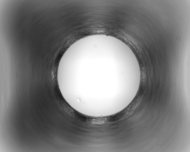 X0000096970373200802221408