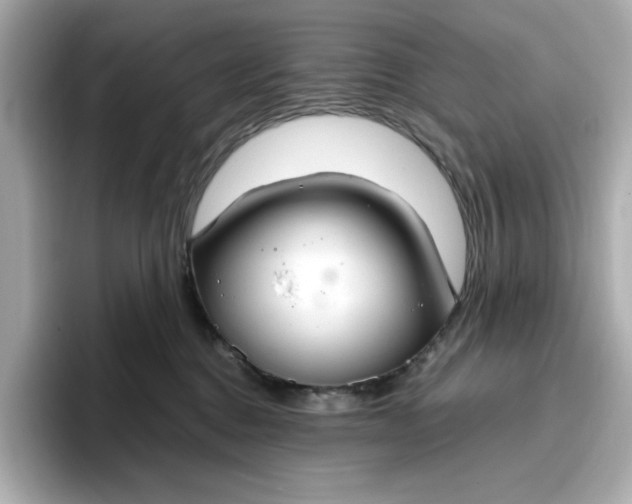 X0000096970376200802221408