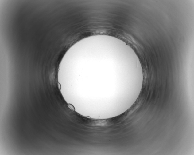 X0000096970377200802221408