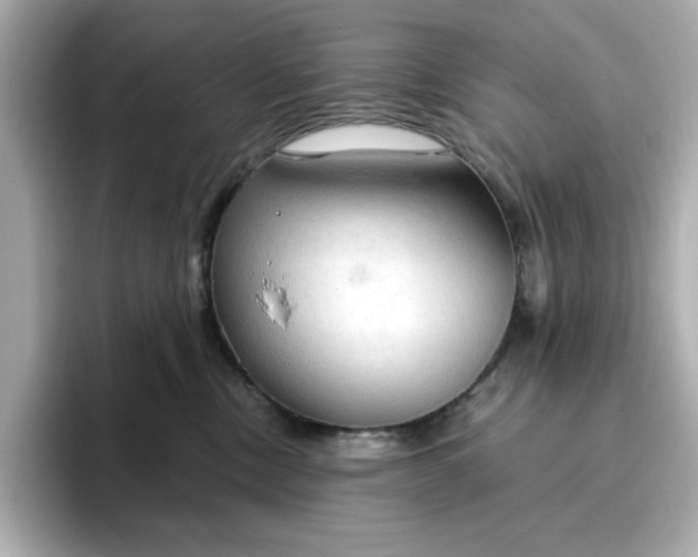 X0000096970378200802221408