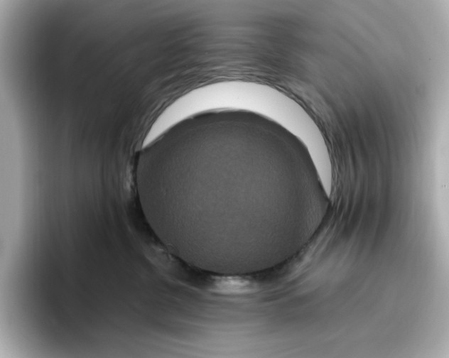 X0000096970380200802221408