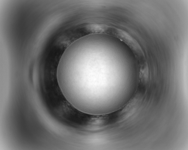 X0000096970381200802221408