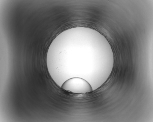 X0000096970382200802221408