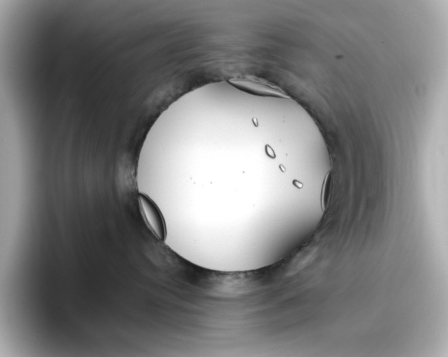 X0000096970384200802221408