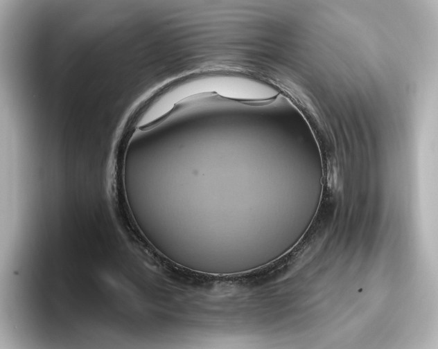 X0000096970388200802221407