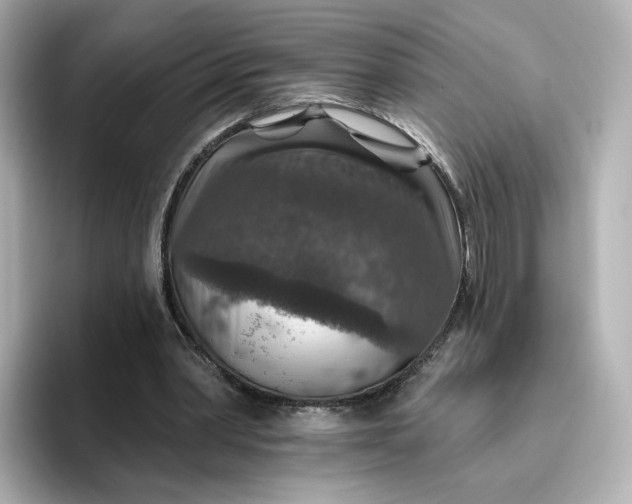 X0000096970390200802221407