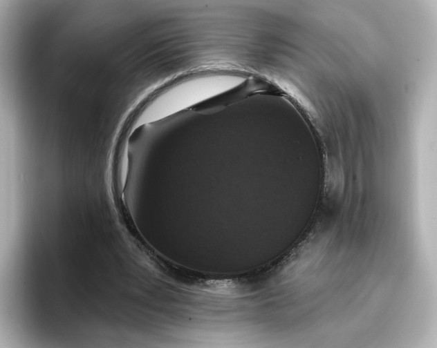 X0000096970391200802221407