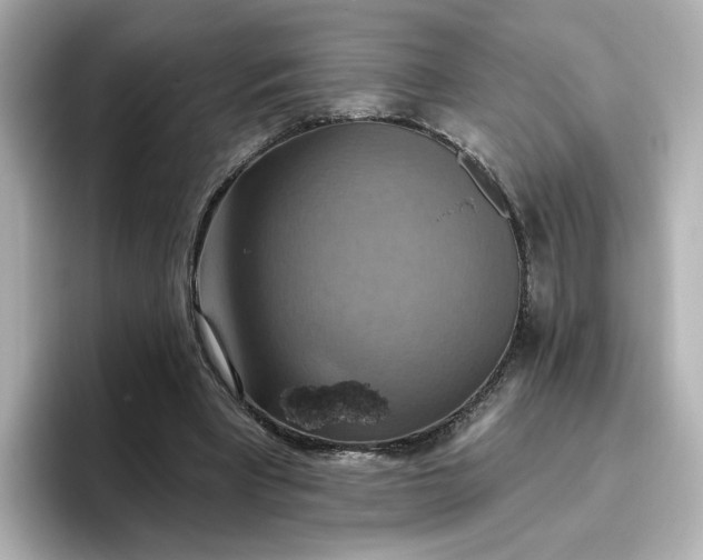 X0000096970393200802221407