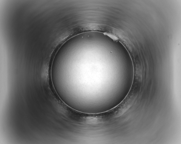 X0000096970394200802221407