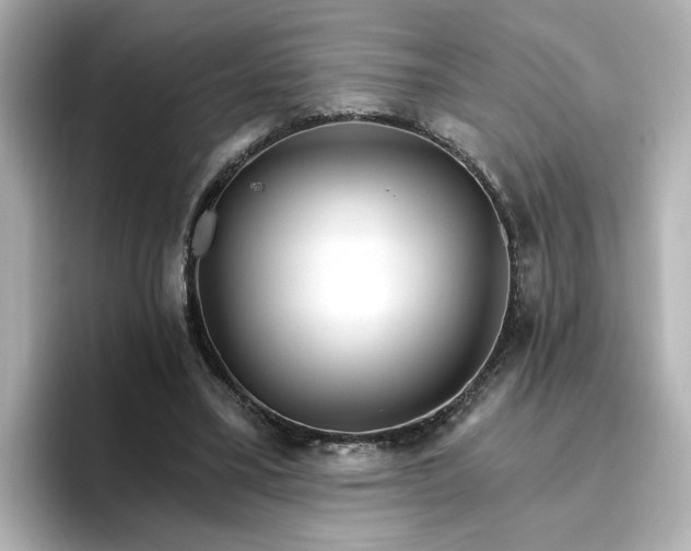 X0000096970395200802221407